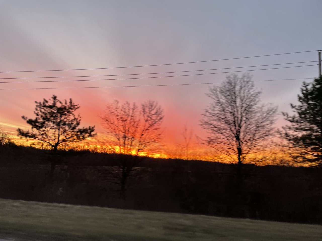 024FEFB8-AE50-4822-9D69-B88C089D2CCA.jpg