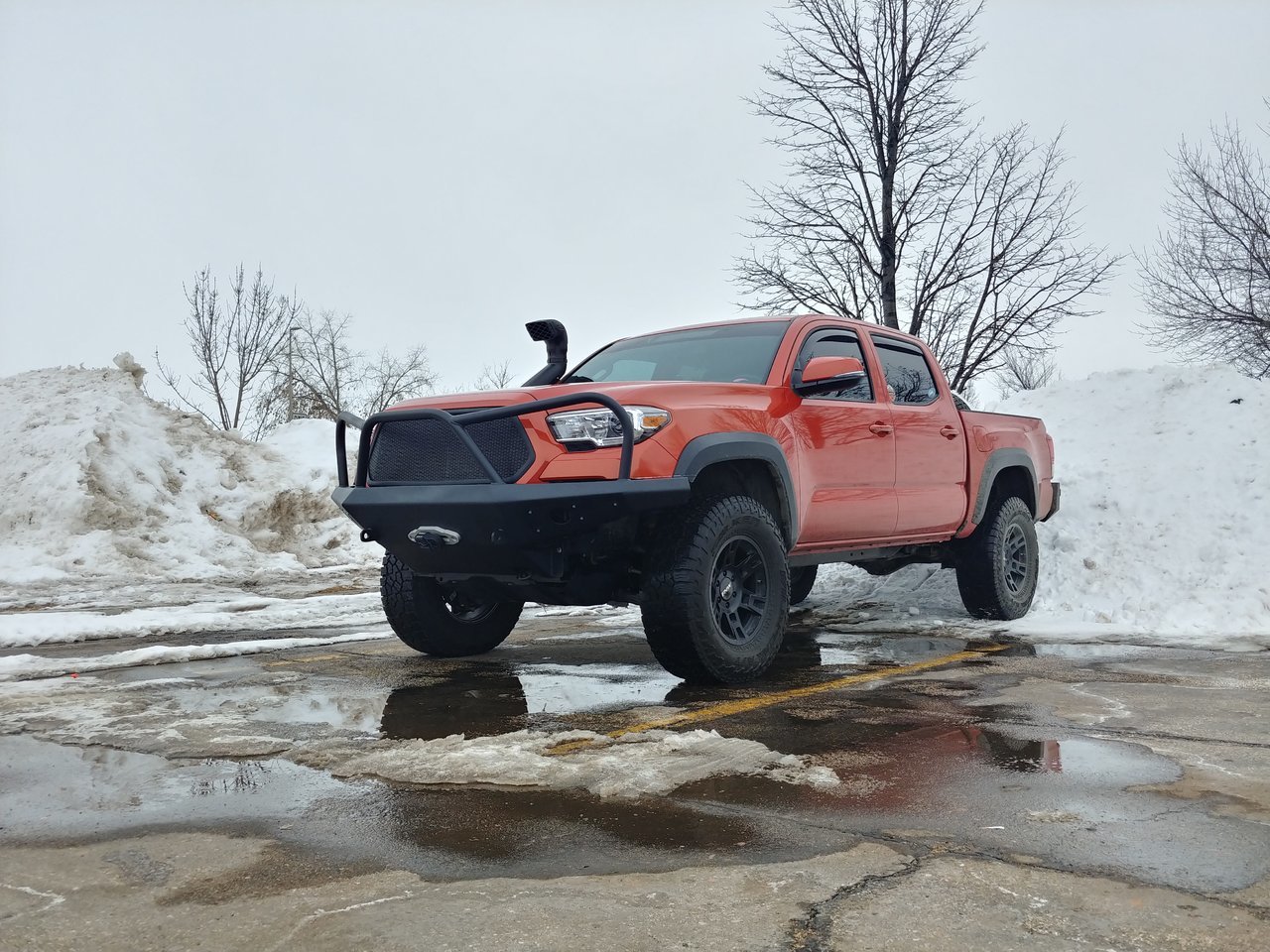 0302181559_HDR.jpg
