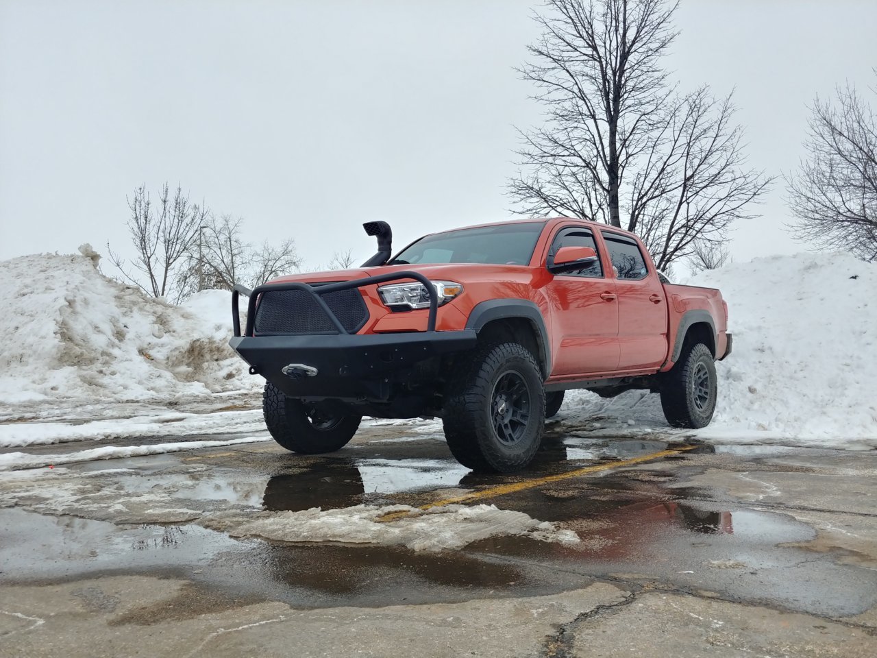 0302181559_HDR.jpg