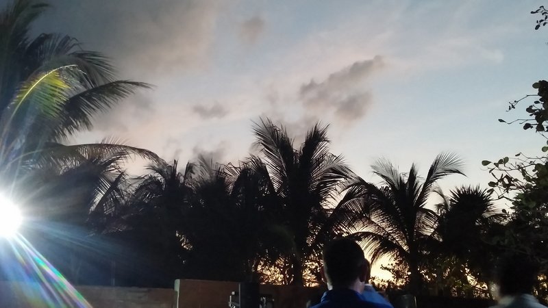 0303171917.jpg