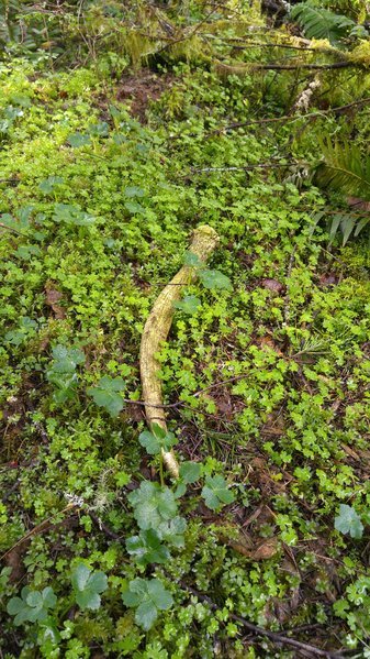 0316171205_HDR.jpg
