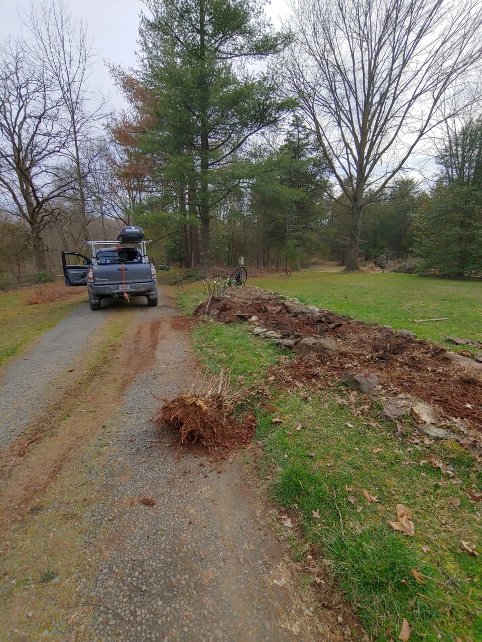 0318201624_HDR.jpg