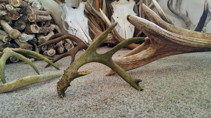 0321171408_HDR-01.jpg