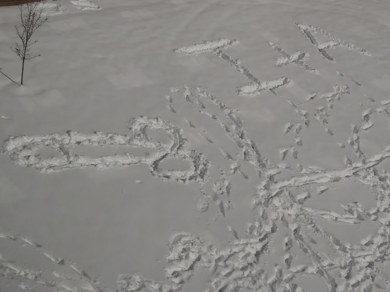 0322181107[1].jpg