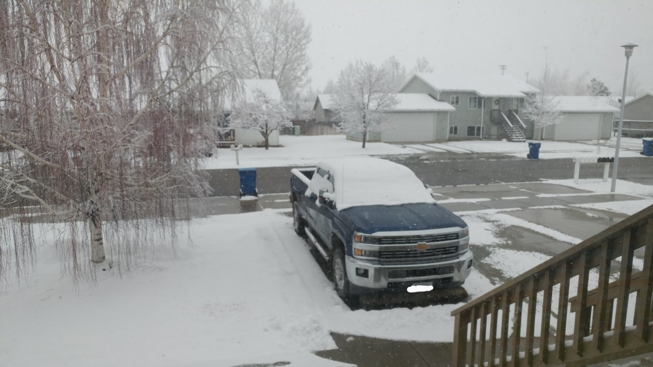 0325201025a~2.jpg