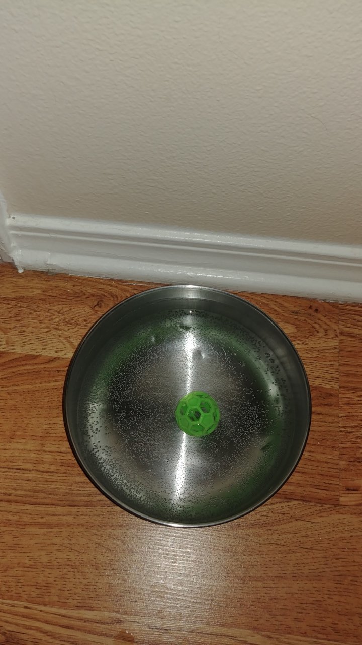 0328180919.jpg