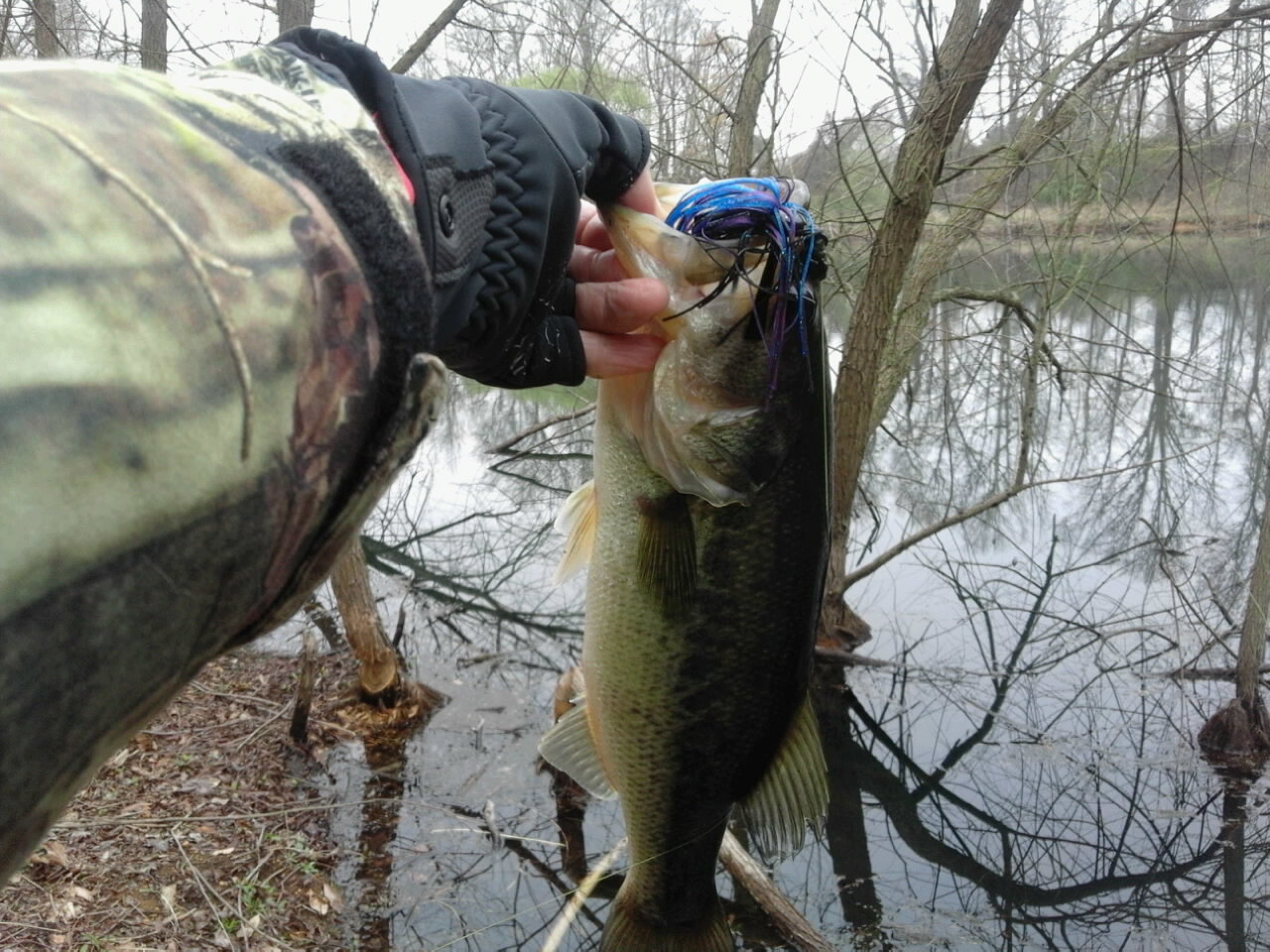 0329201034.jpg