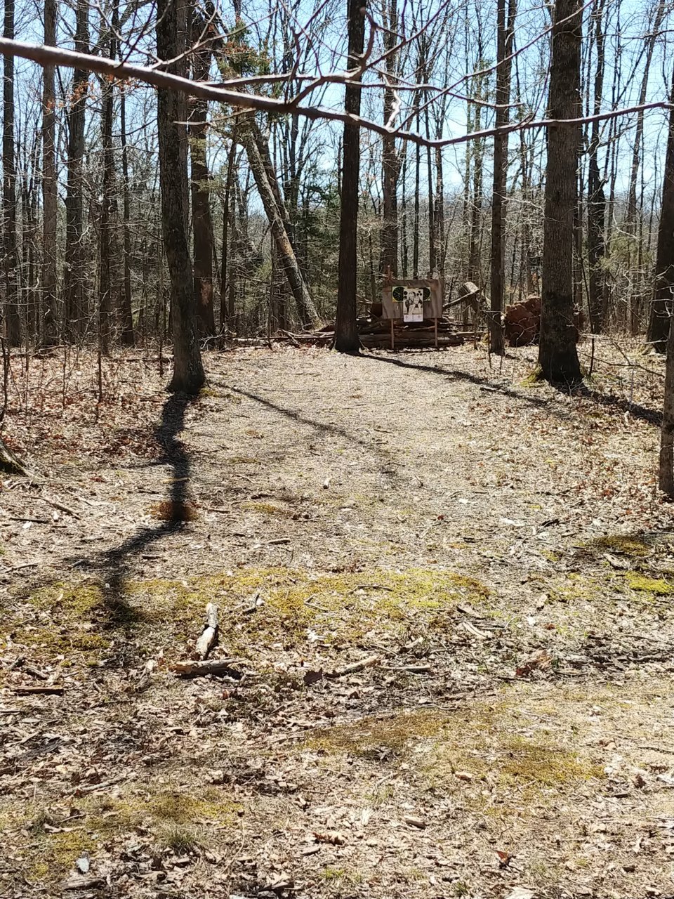 0331181332.jpg