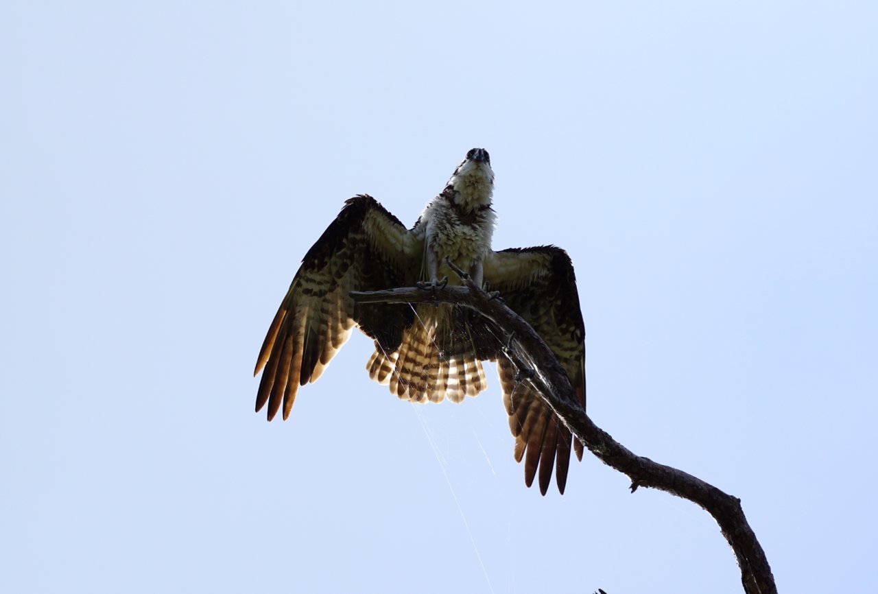 03A73158-71A0-4CF0-AF45-5029FE767FC4.jpg