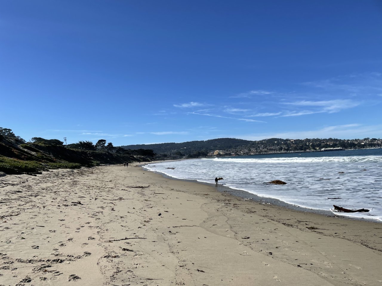 03EB339E-176F-4972-96FA-D0DBA672BE42.jpg