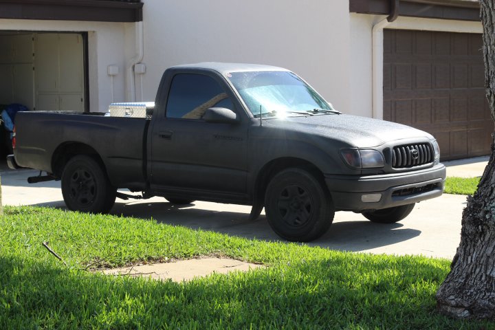 04 taco.jpg