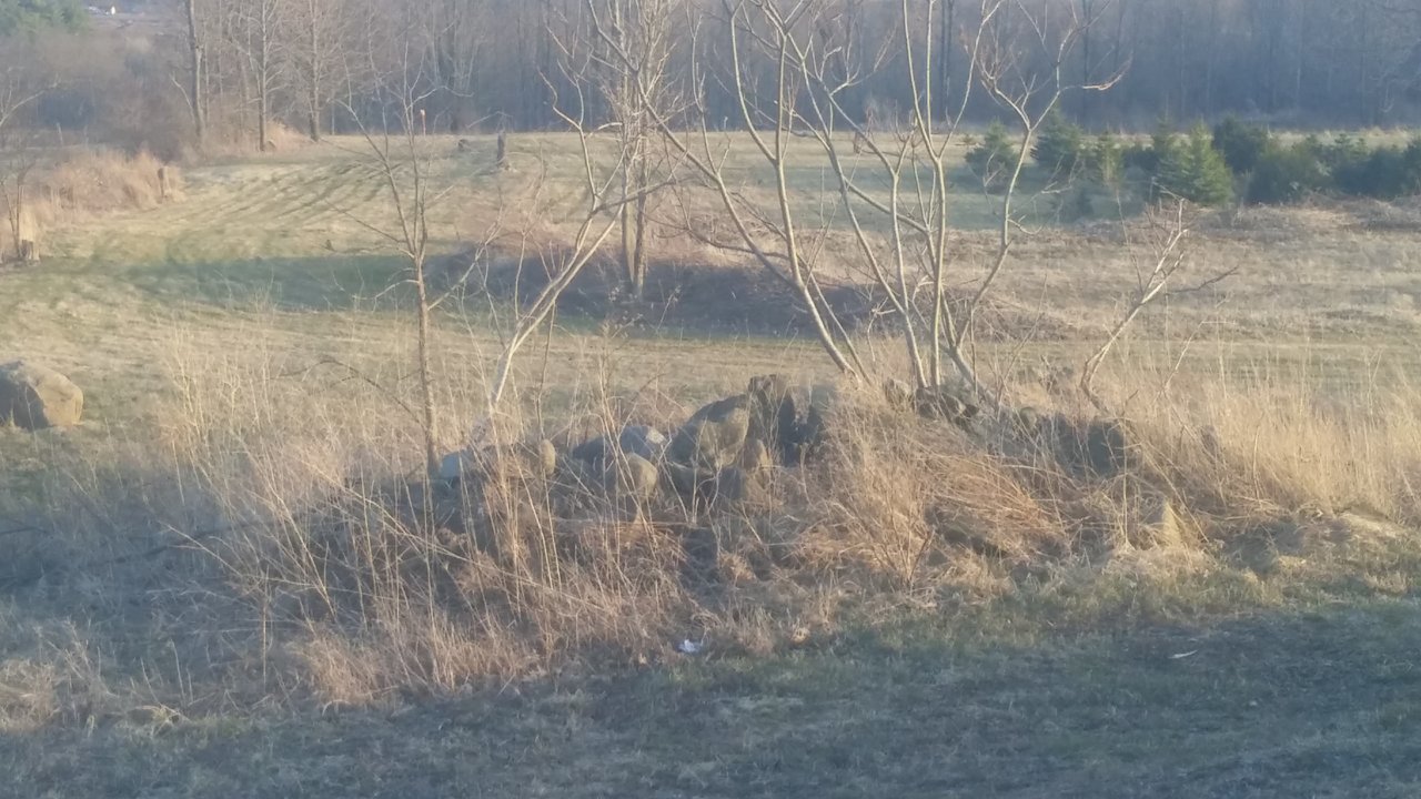 0405221846b.jpg