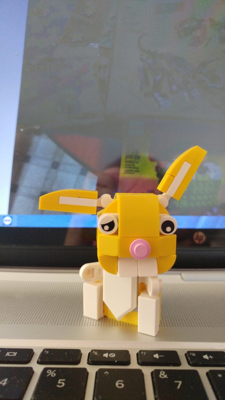 0409200902a.jpg