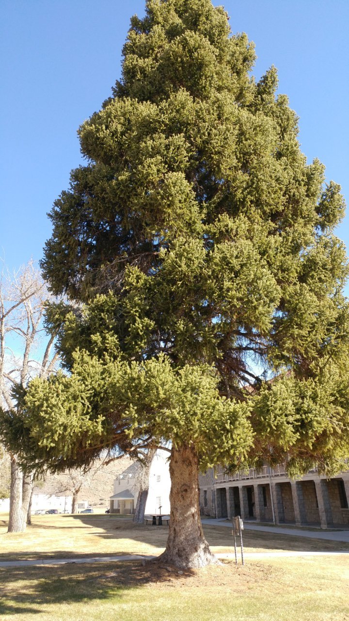 0422180937.jpg
