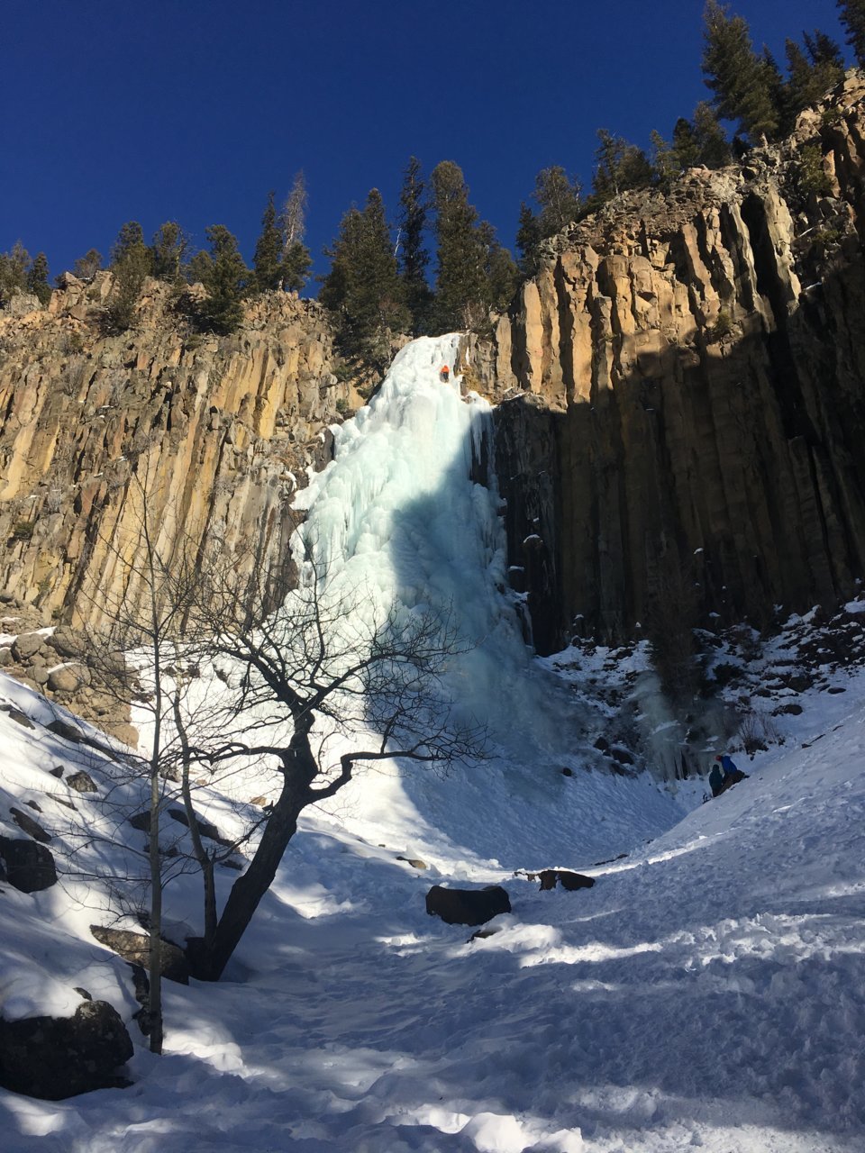 0448BE50-C31F-46E3-854D-9C0FD65D0BC1.jpg