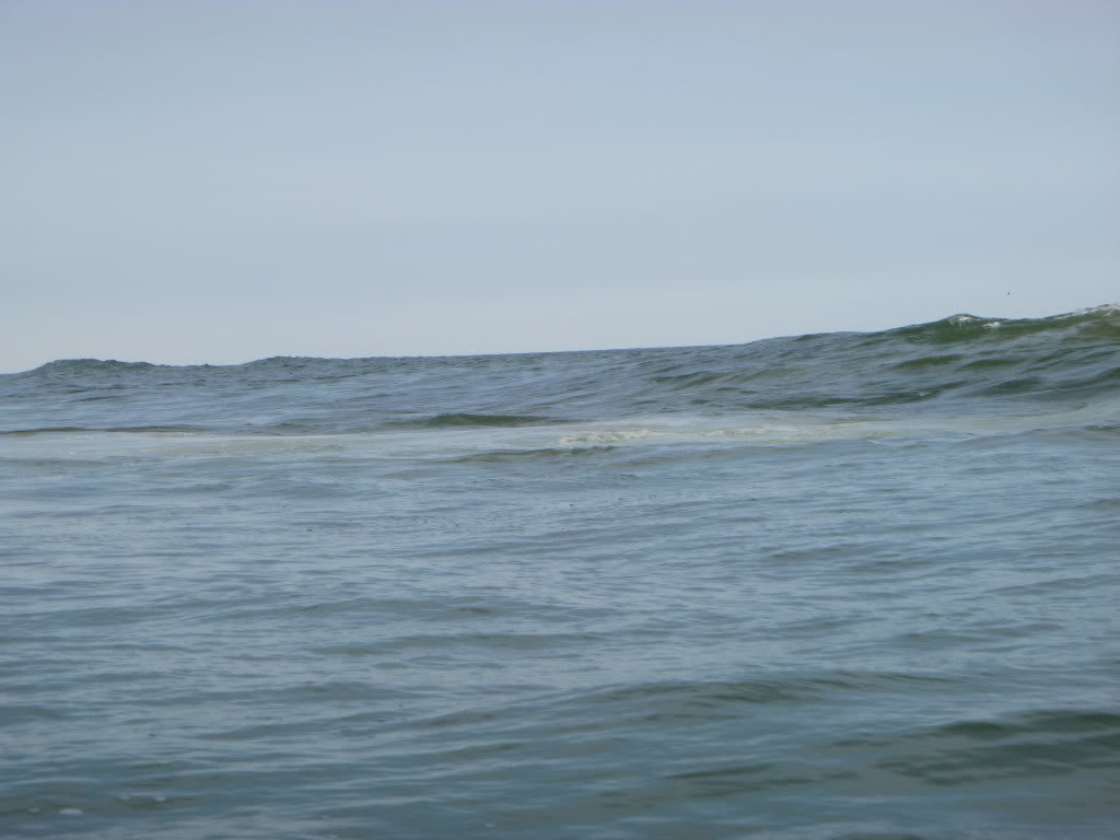 046-3_2b0a7bd10dfa980512fbbc7cba09615ce44d9906.jpg