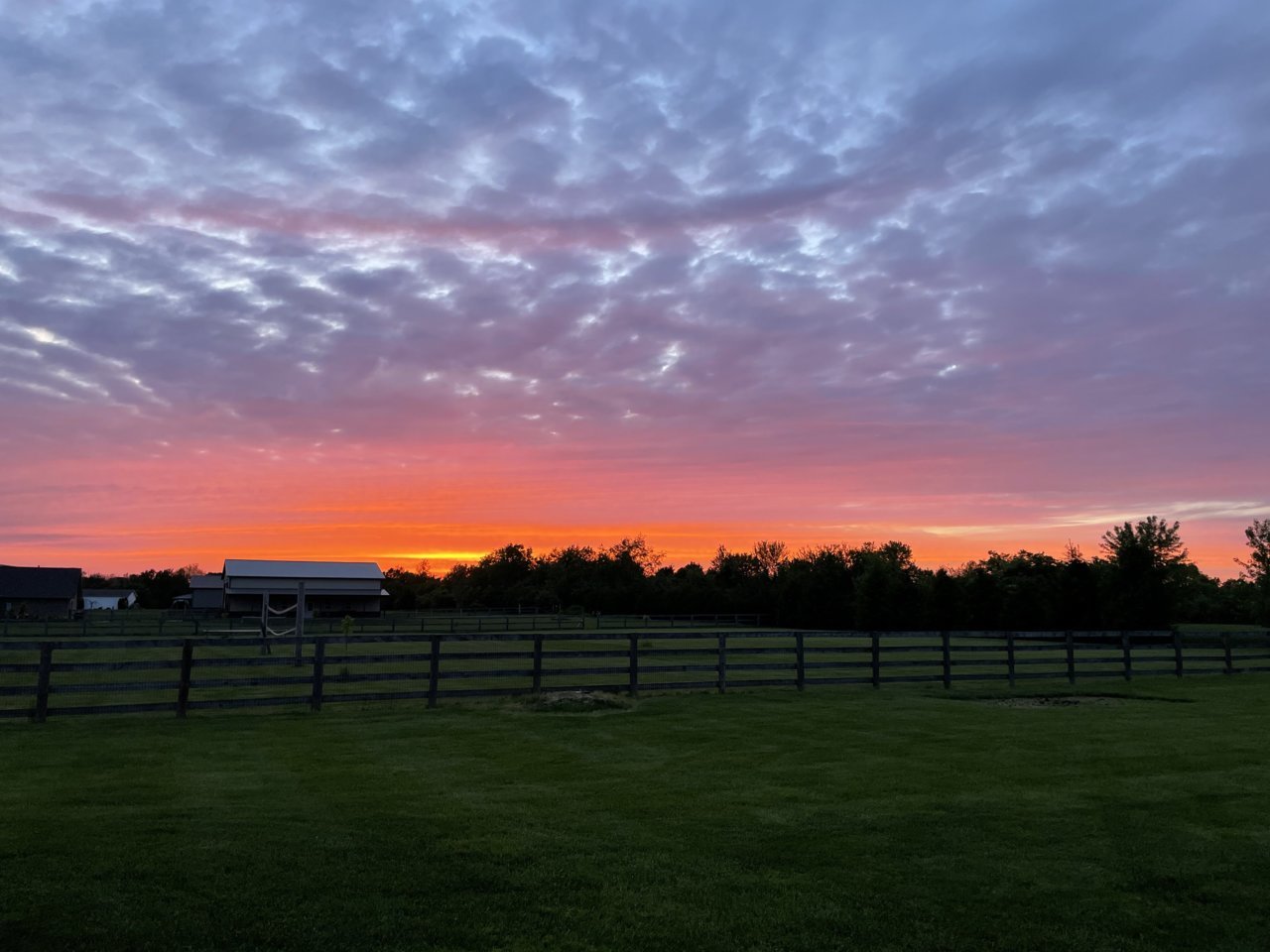 046B908E-169F-448D-BD82-202FDFA04A05.jpg