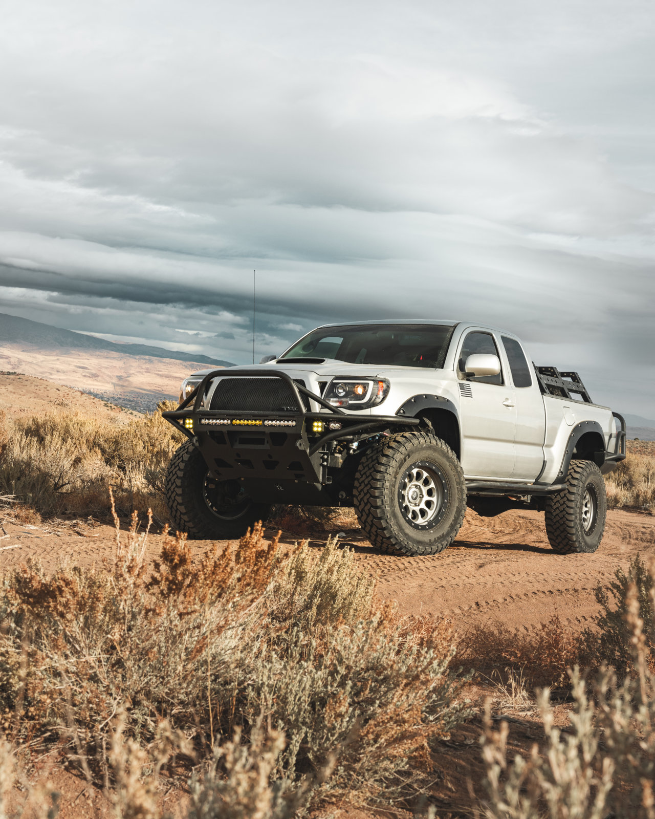05-11tacohybrid-3.jpg