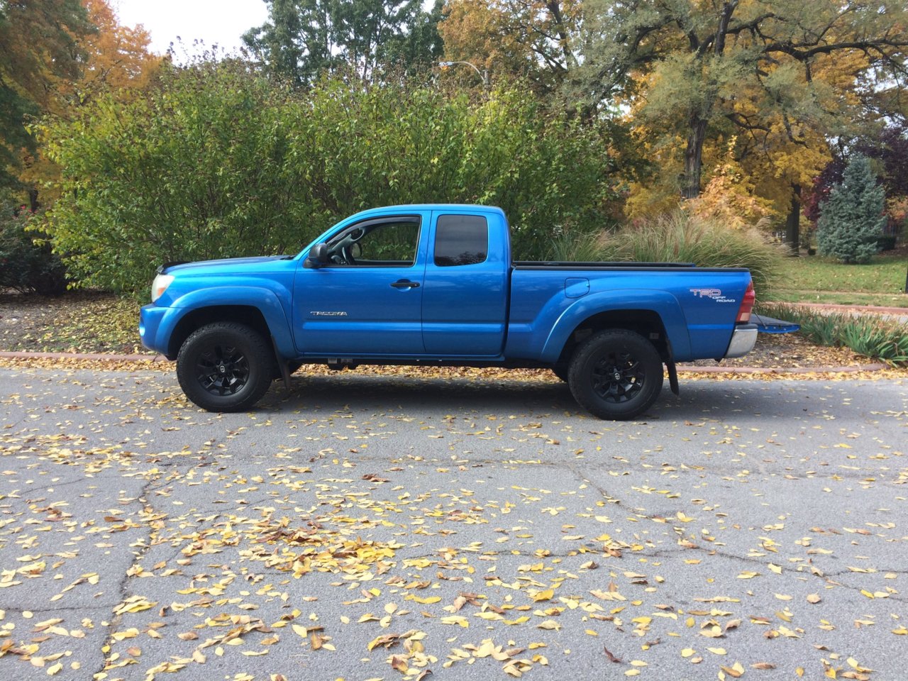 05 tacoma.jpg