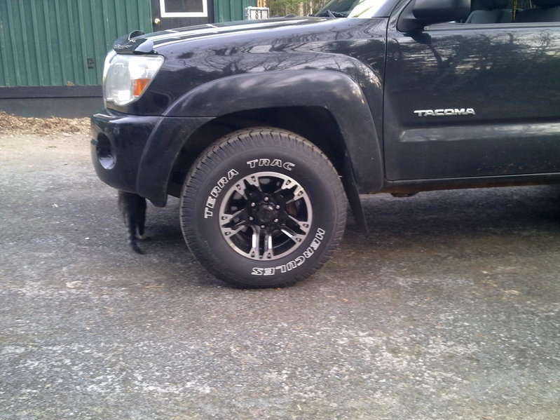 05032012372.jpg