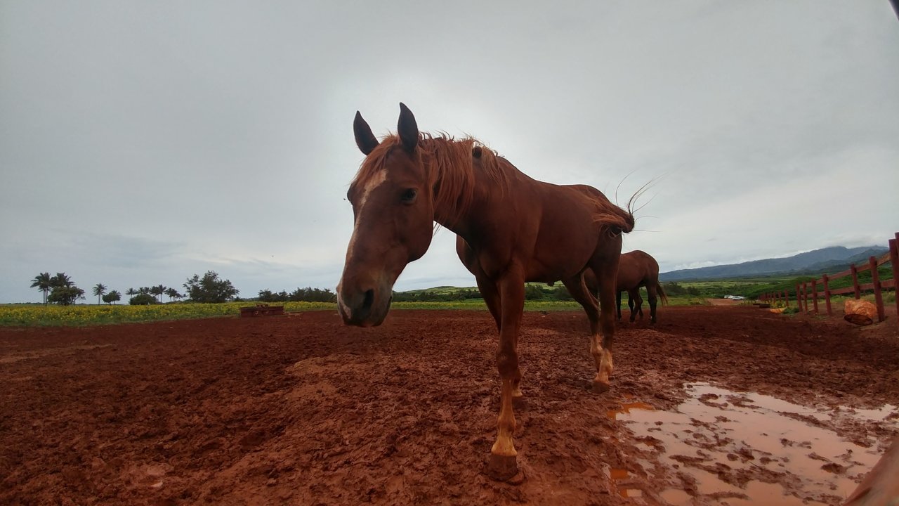 0504181253d_HDR.jpg