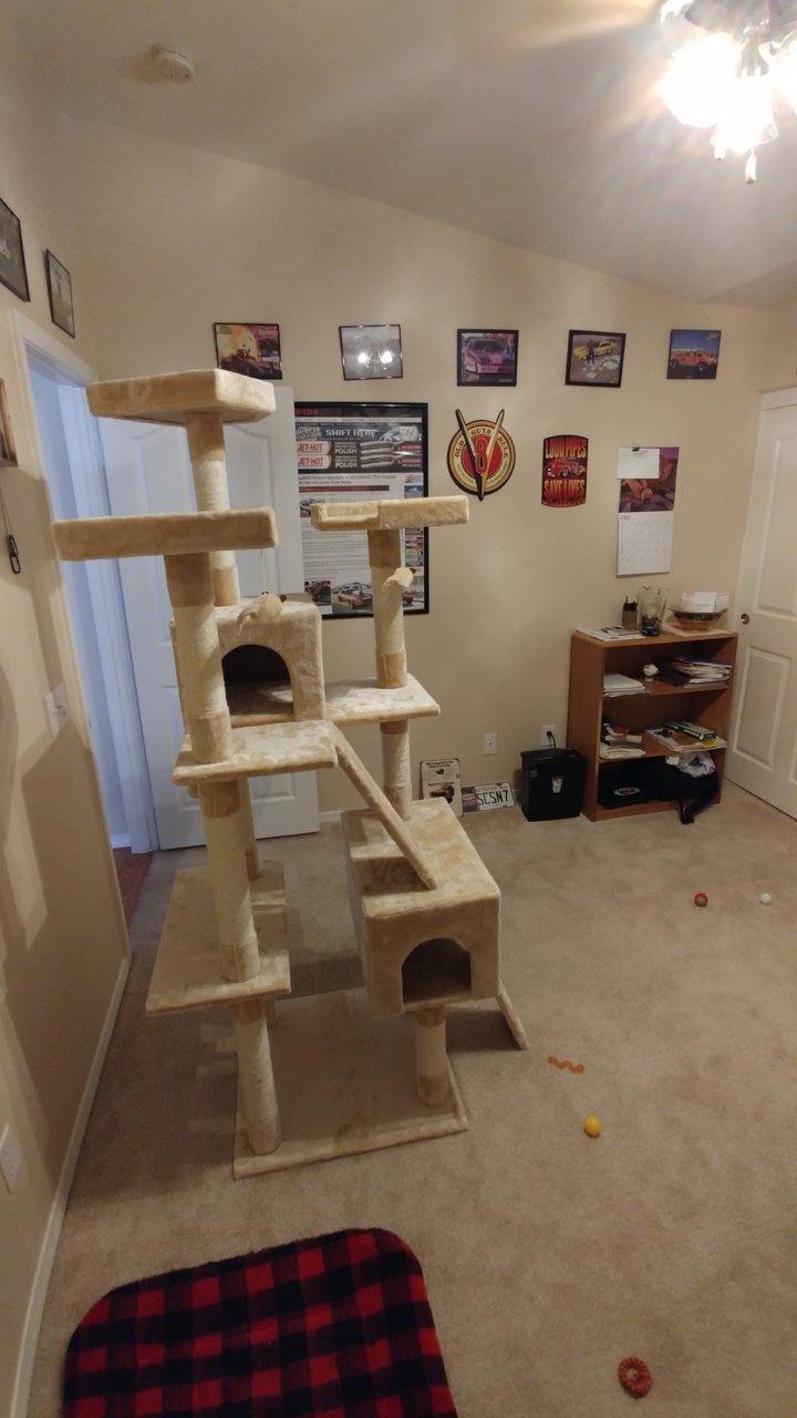 0506181230.jpg
