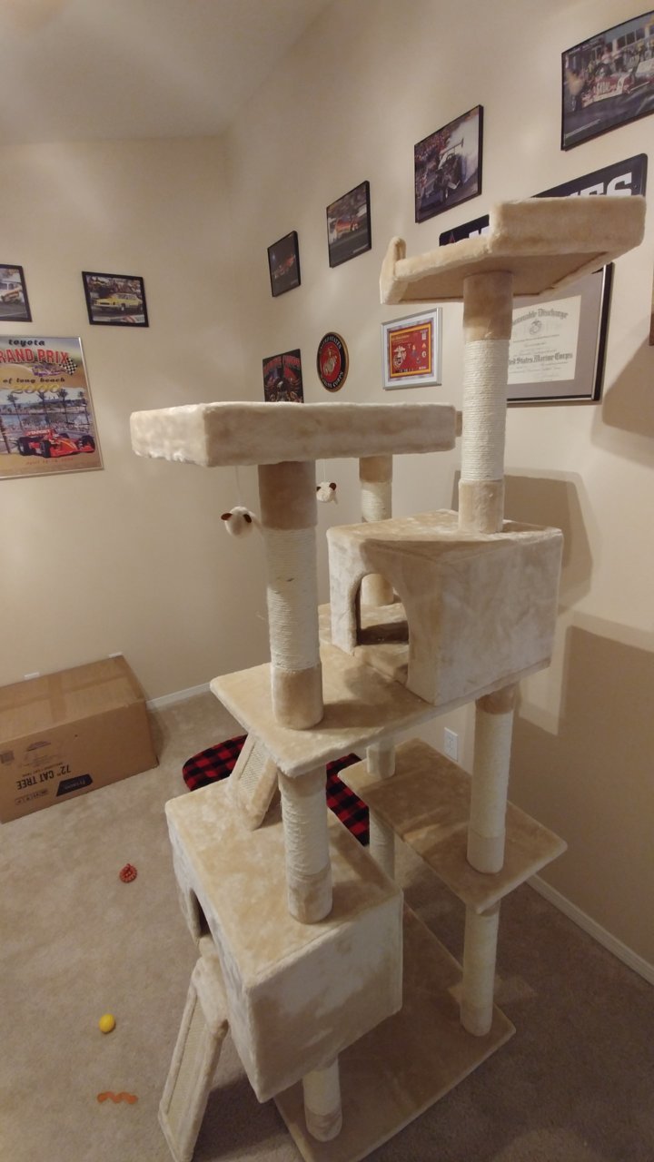0506181230a.jpg