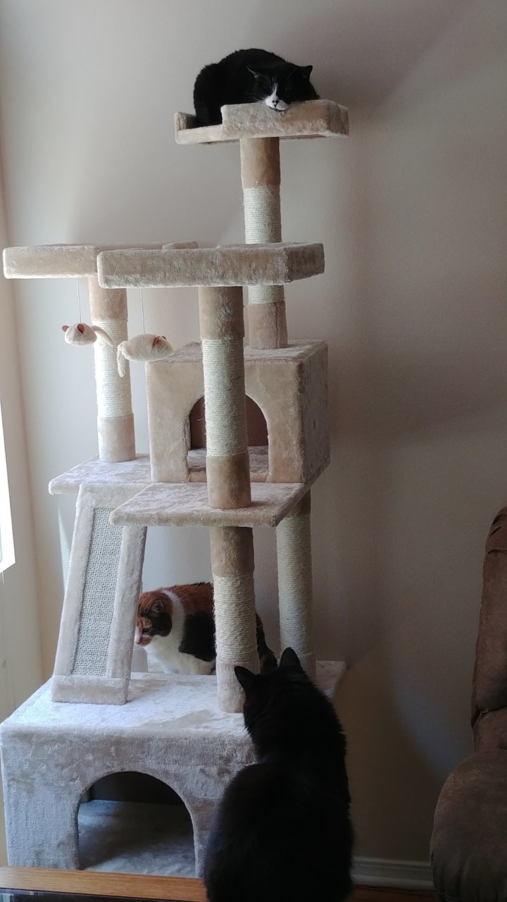 0509181340_HDR.jpg
