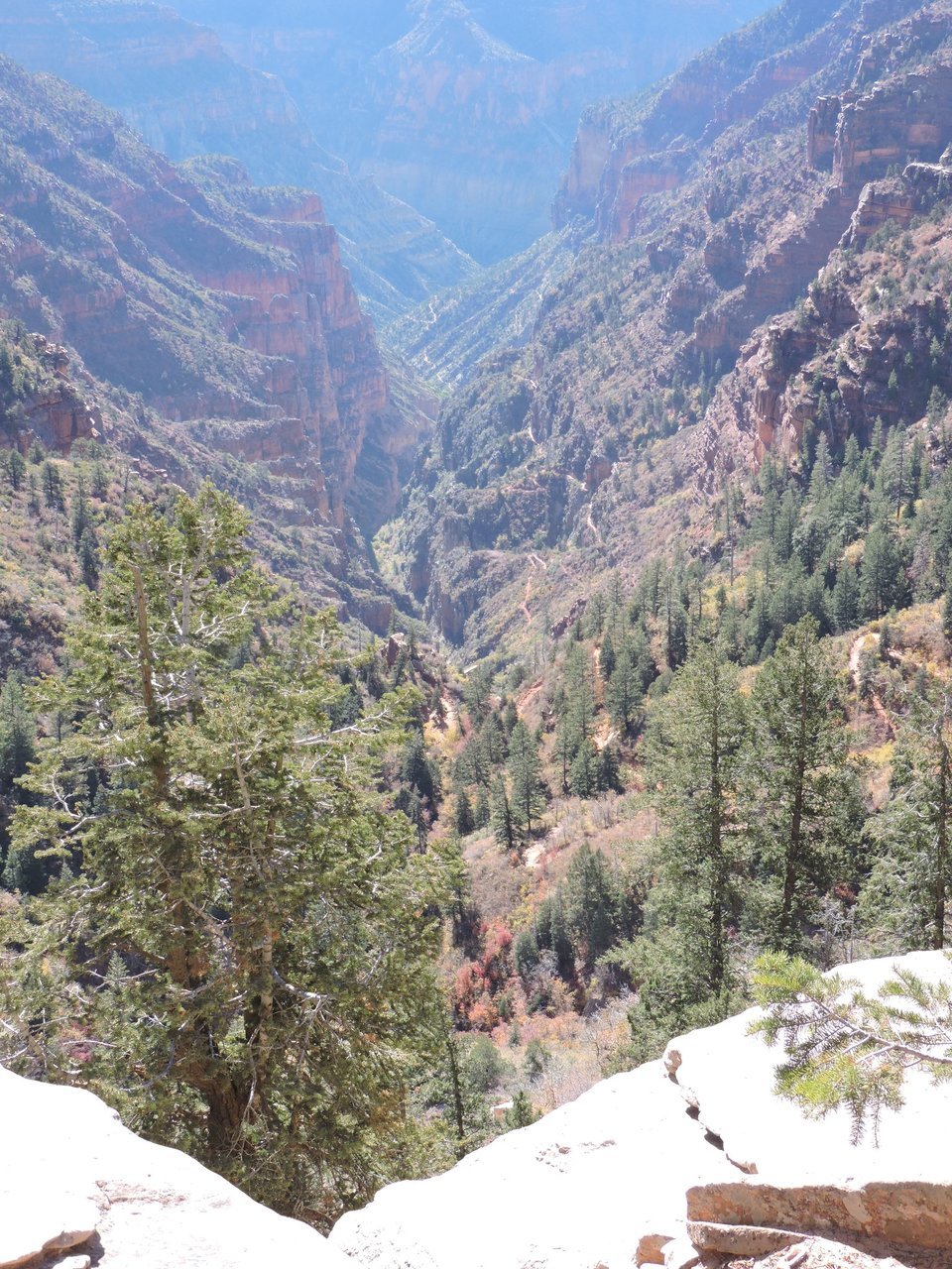 050B63E1-5ADB-43D7-ABF9-7B910724B09B.jpg