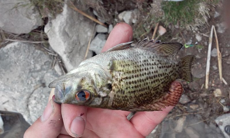 0515160911.jpg
