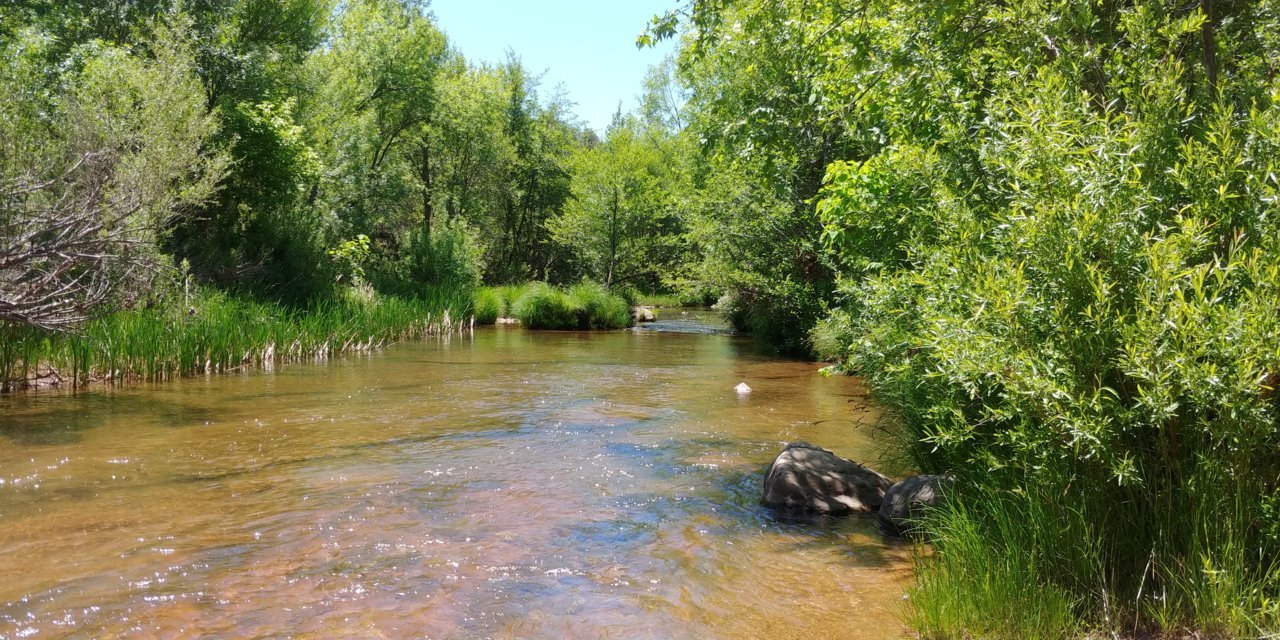 0515201208b.jpg