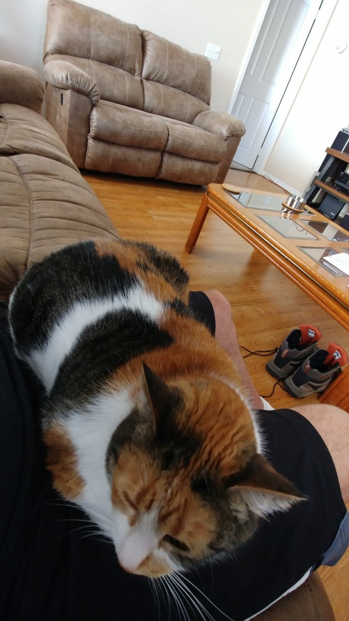 0527181037.jpg