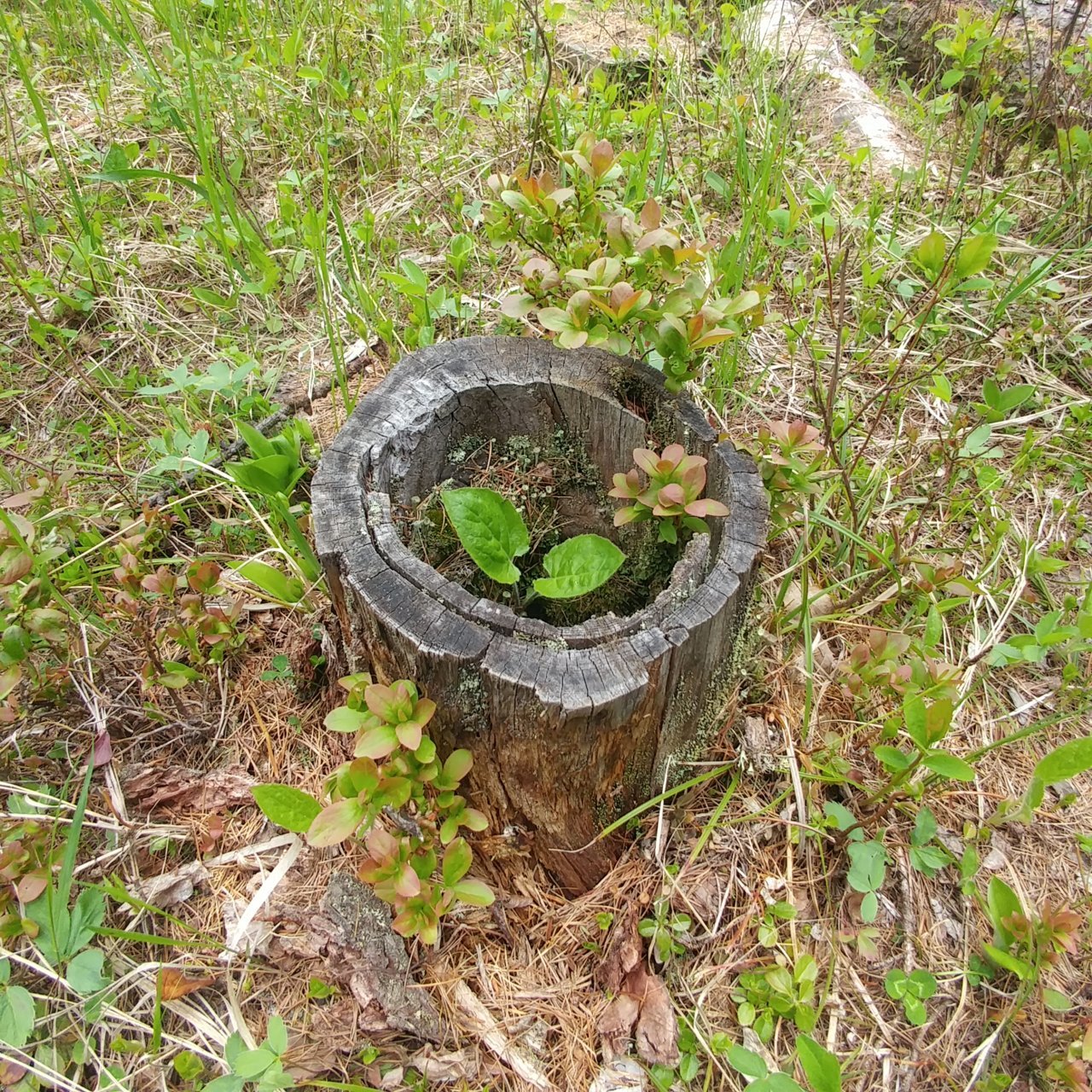 0529221216a.jpg