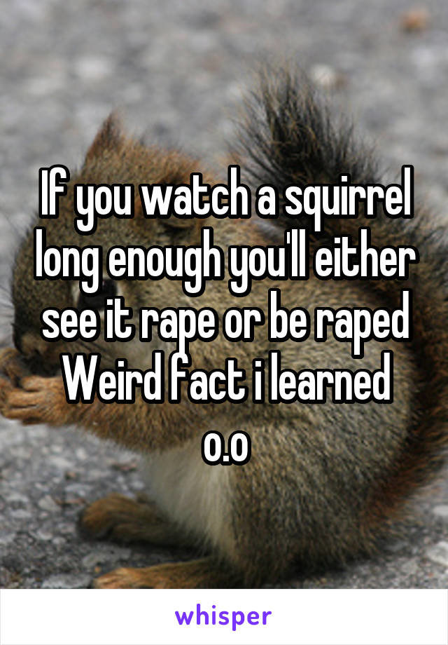 052d74bcc6a7253245b2ac1d0b4b489a025b6c-v5-wm.jpg