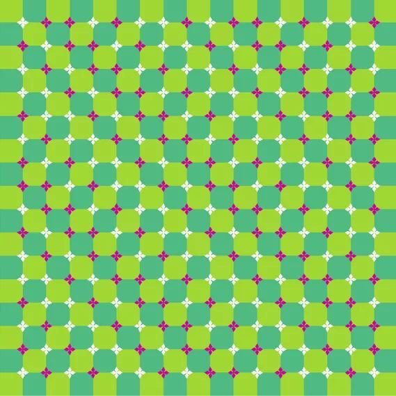 054C1339-5B01-47B1-98A9-24B0279A3038.jpg