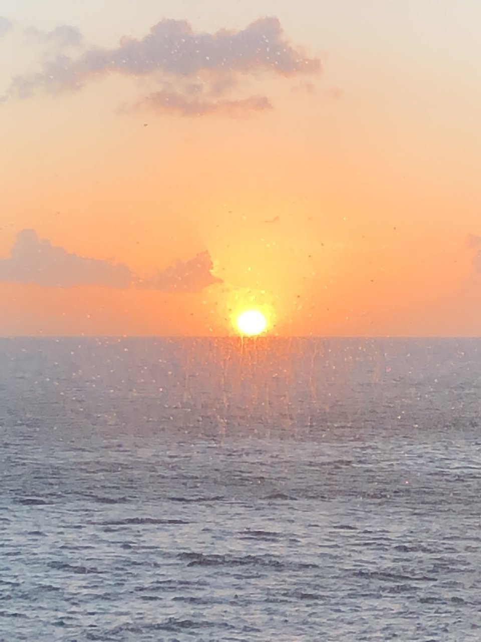 0563203B-4B98-4474-B442-F1297FCDDD76.jpg