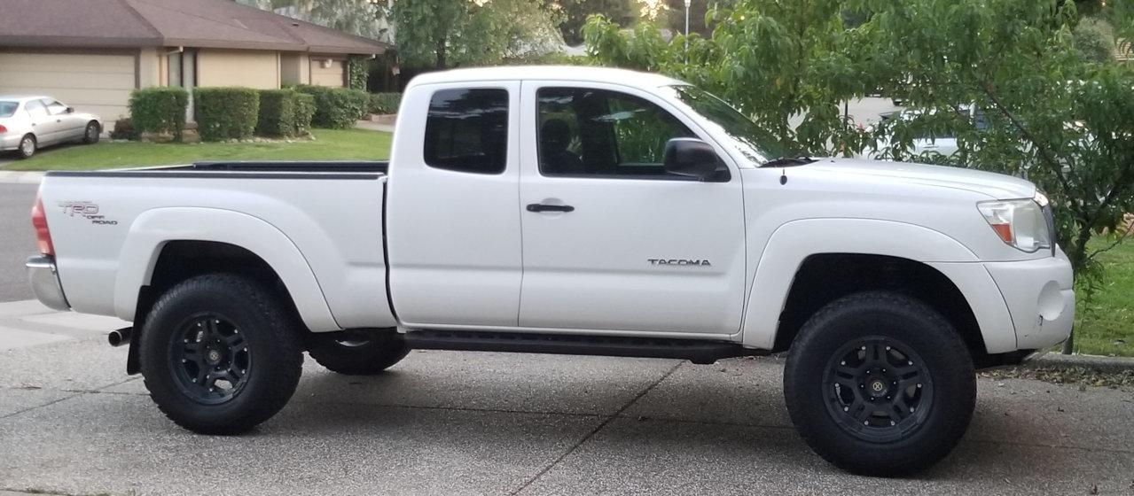 05_taco.jpg