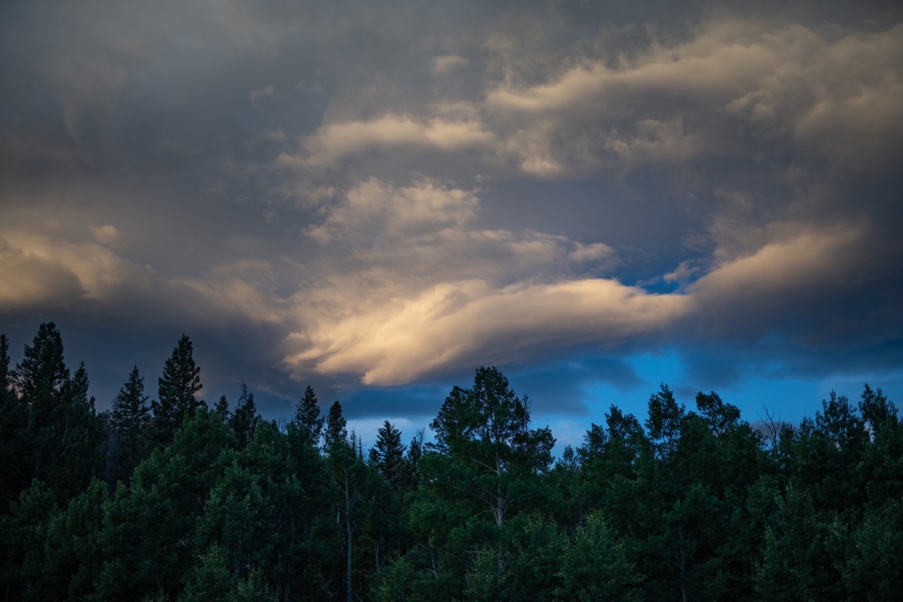 05CB4AB6-059C-422D-9057-78A5A75EF876.jpg