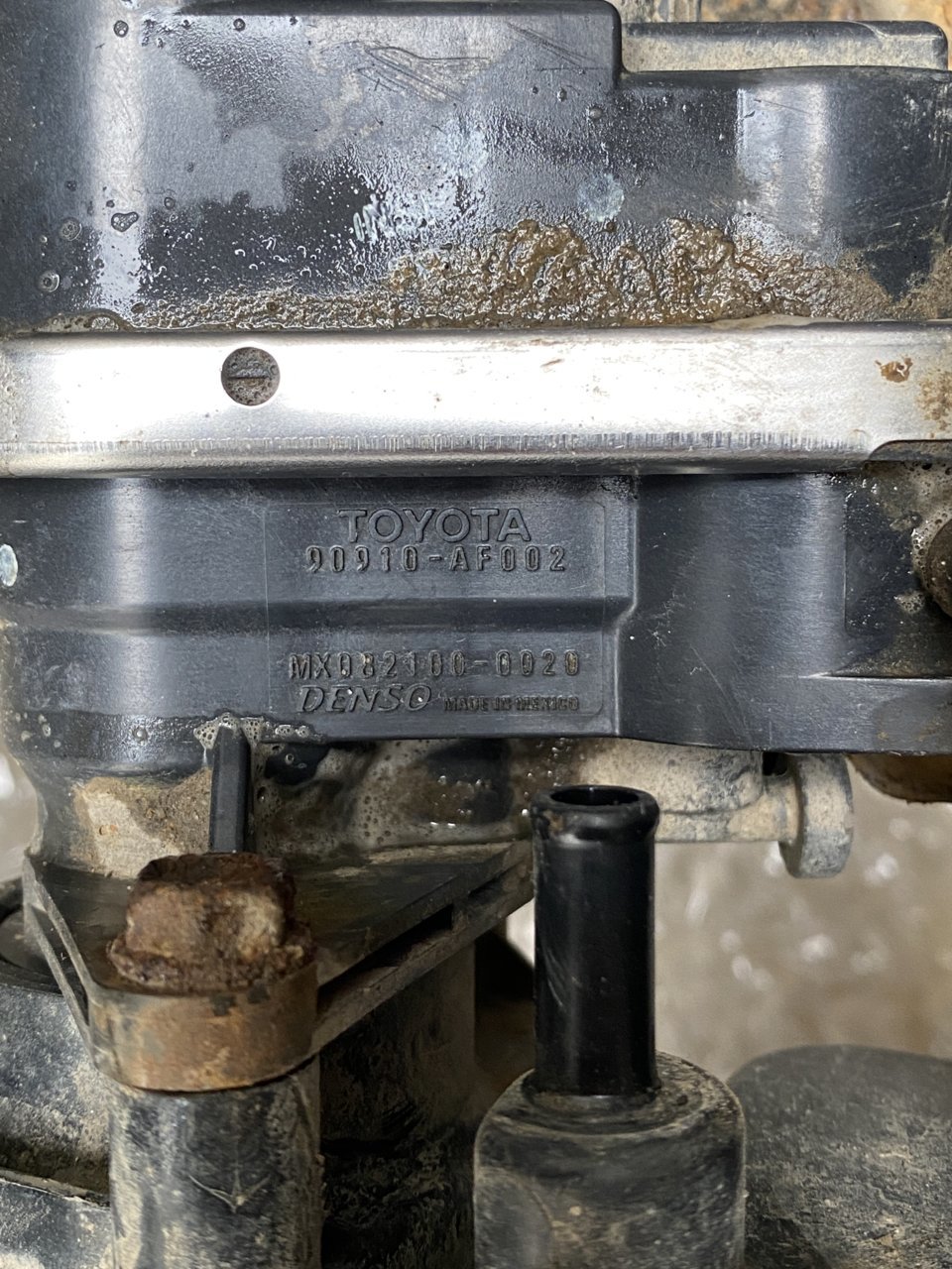 05CF4ED3-37CC-42BA-8955-8C615A1F9E10.jpg