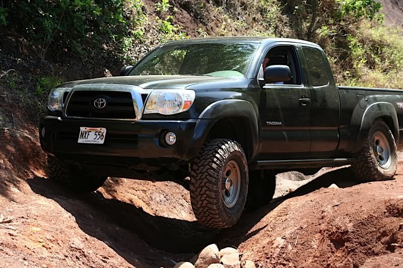 05taco_8b24c5f5a9a759fdeec61295631455eda4274039.jpg