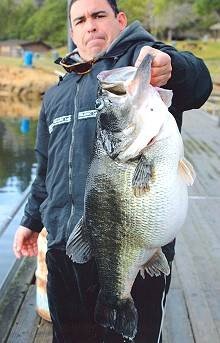 060320bigbass.jpg