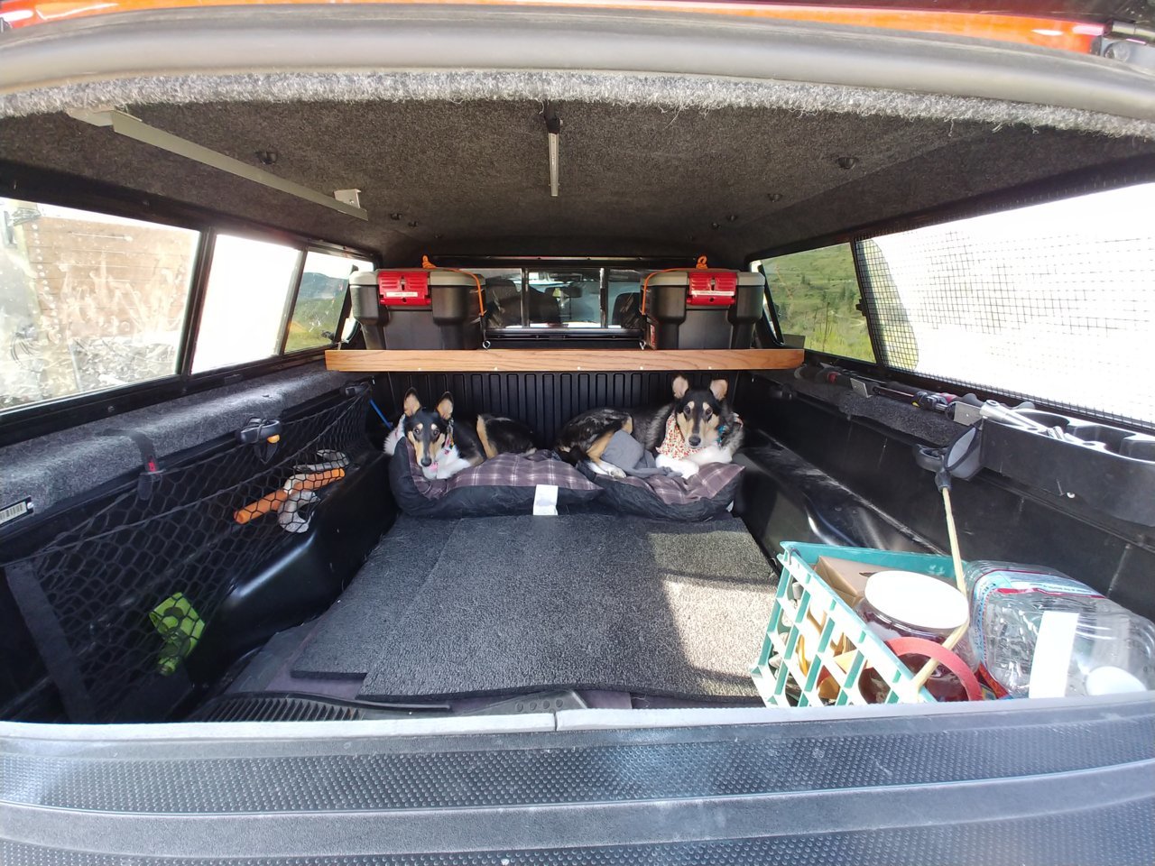 Dog in truck bed with clearance cap