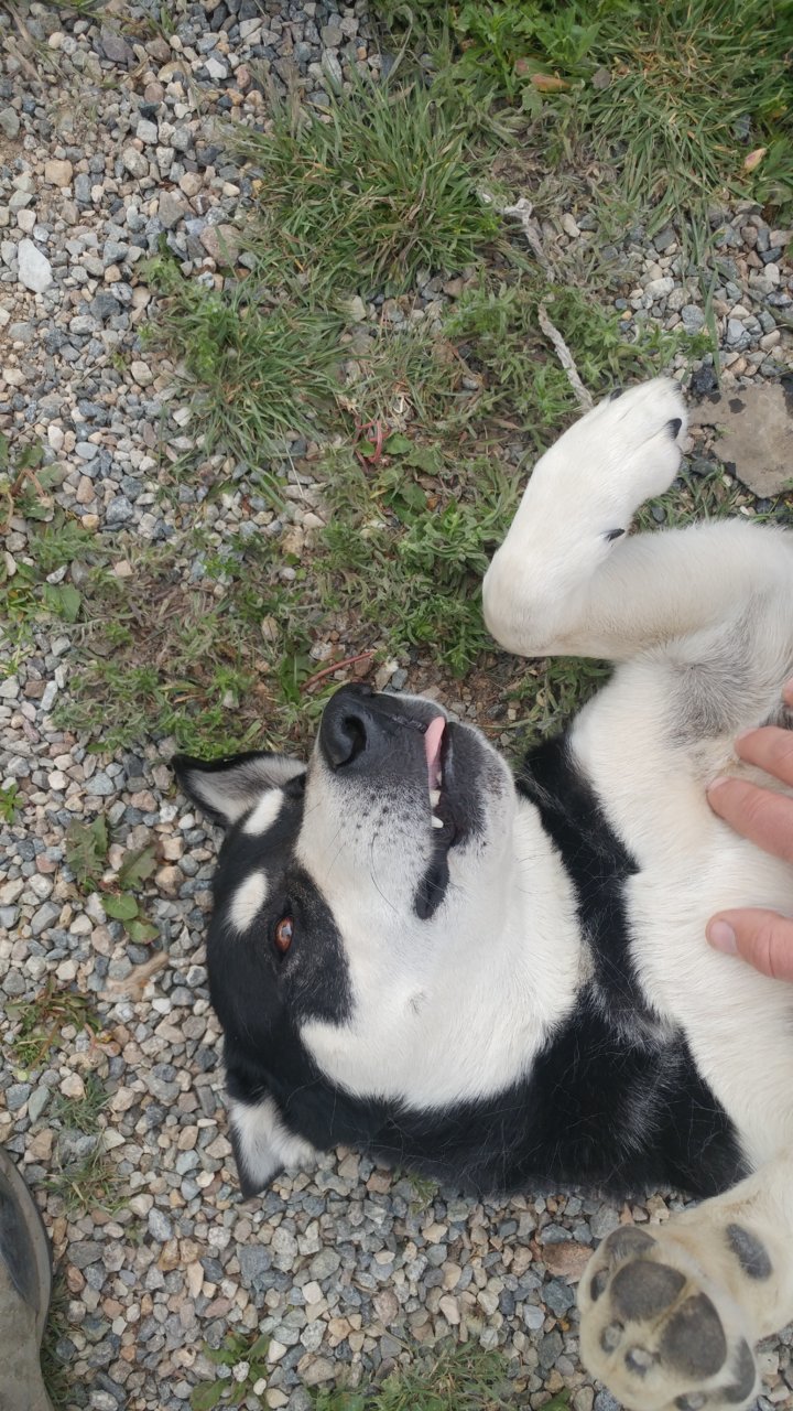 0607180900.jpg