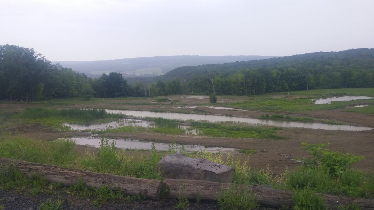 0607221608c.jpg
