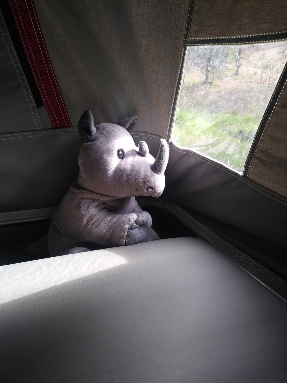 0613200905a.jpg
