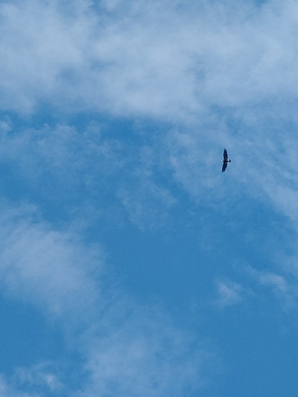 0620191516f.jpg