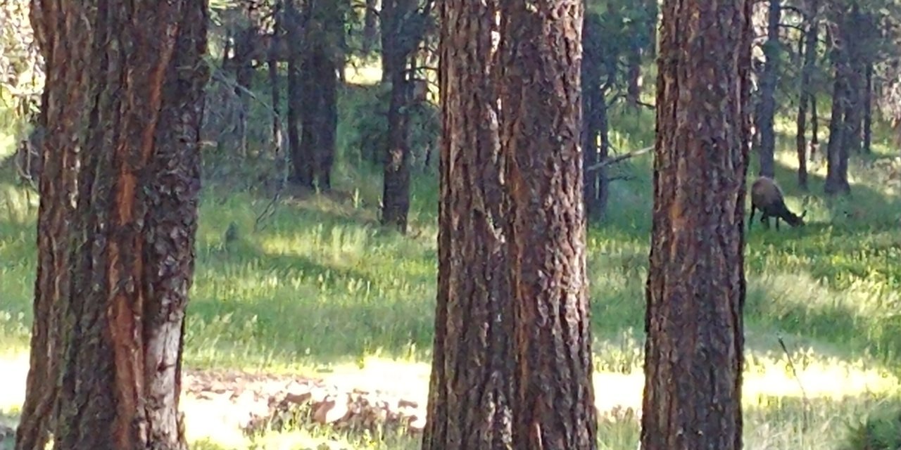 0621191758.jpg
