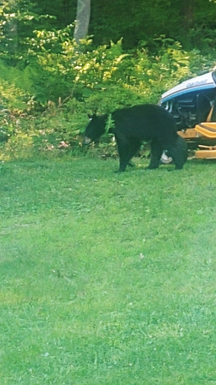0621191840.jpg
