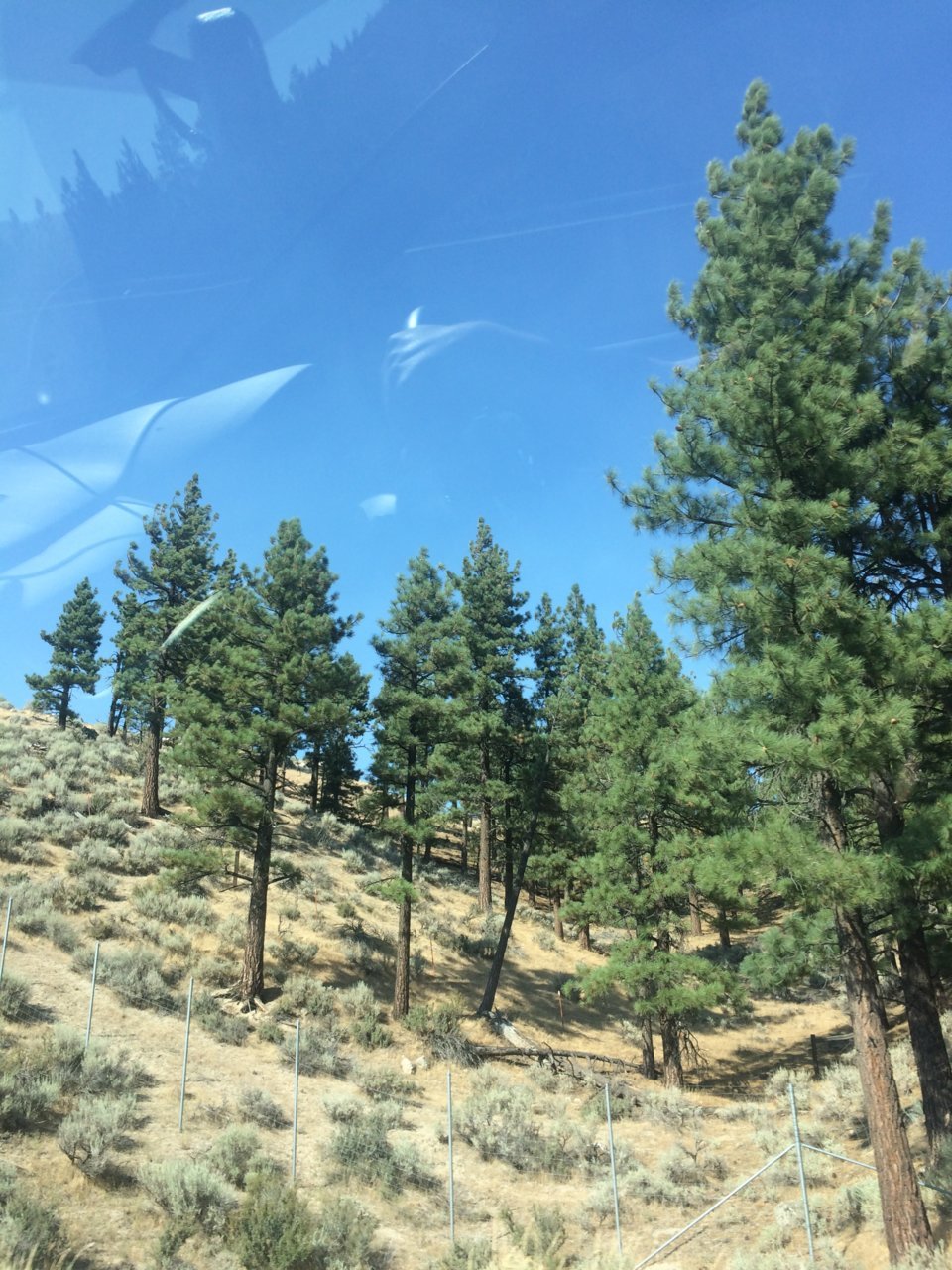 0622D855-CA99-4055-8FAA-8C8C091EEBD9.jpg