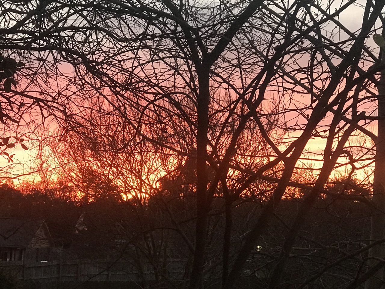 06C40F01-AD98-43A6-901B-B1F9ECDFFB44.jpg